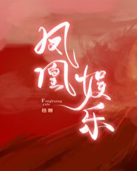 凤凰娱乐小说封面